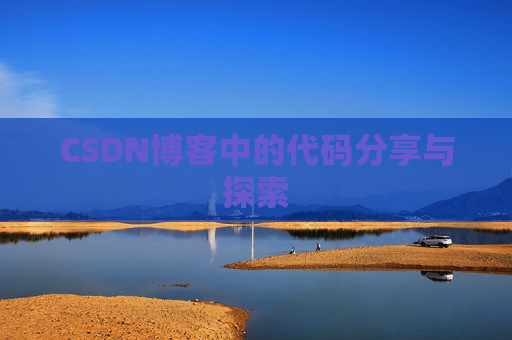 CSDN博客中的代码分享与探索